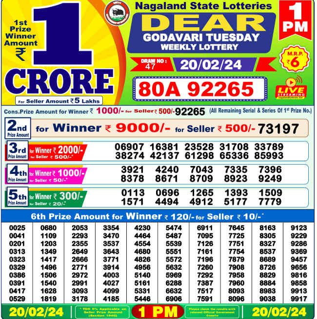 Nagaland 1 PM Lottery Result 20.2.2024